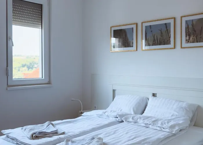 Luxury Danube 골루바츠